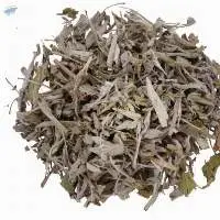 Dried Sage (Salvia officinalis)