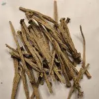 Dried Pellitory Root (Anacyclus pyrethrum)