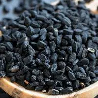 Kalonji (Mangrel)