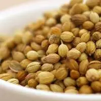 Coriander Seeds Roasted