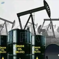 Espo & Bonny Crude Oil(BLCO)