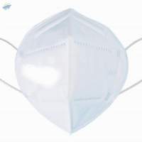N95 Mask