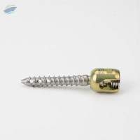 Thoracolumbar Screw
