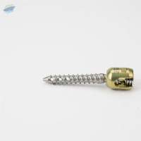 Pedicle Screw