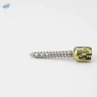 Pedicle Screw