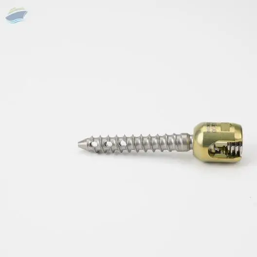 Pedicle Screw