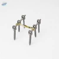 Spinal Implant