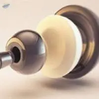 Hip Prothesis