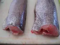 South Pacific Hake (merluccius Gayi)