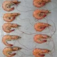 White King Prawn (Penaeus Vannamei)
