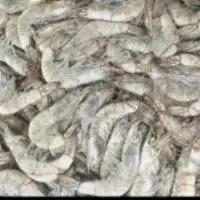 White King Prawn Brine