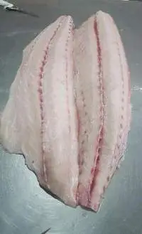 Oil Fish (Ruvettus Pretiosus)