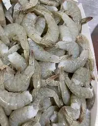 White King Prawn (Penaeus Vannamei) Hlso Hoso
