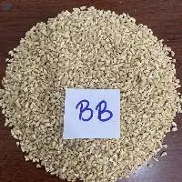 Cashew Nut BB For Caking Industry