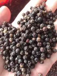 Black Pepper
