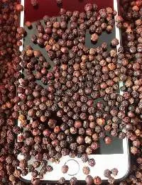 Black Pepper