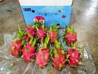 Dragon Fruit