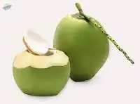 Fresh Green Coconut