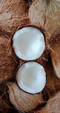 Semi Husked Coconut