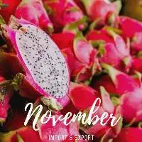 Fresh Dragon Fruit White / Red Flesh