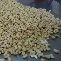 Cashew Nuts WS