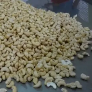 Cashew Nuts WS