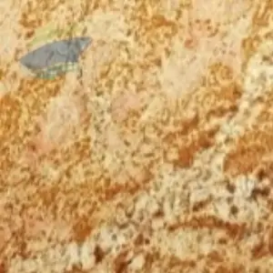 Imperial Gold Granite