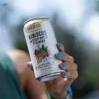 Hibiscus Infused Water With Ginger
