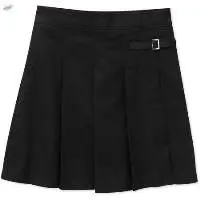 Pleated Skirt