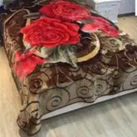 Blanket