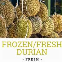 Frozen/ Fresh Durian