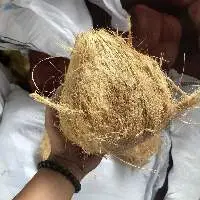 Dry Coconut