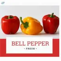 Bell Pepper