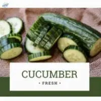 Cucumber