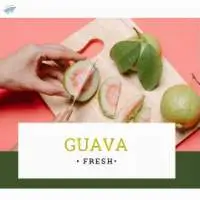 Guava