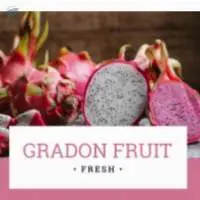 Dragon Fruit