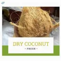 Mature Semi Husked Coconut