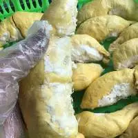 Frozen Durian