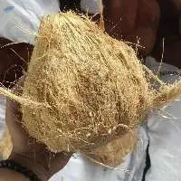 Mature Semi Husked Coconut