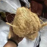 Mature Semi Husked Coconut