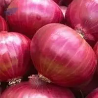 Red Onion