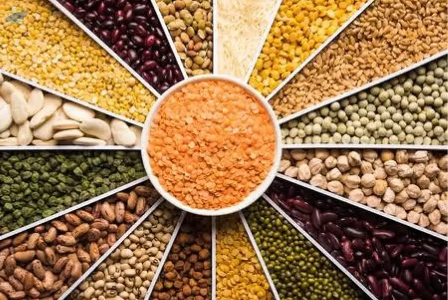 Pulses