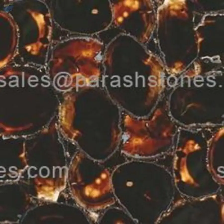 Black Lip Onyx Slab & Surface