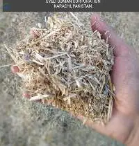 Wheat Straw