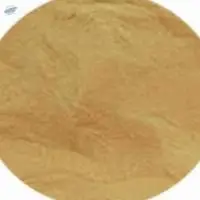 Proteins and Collagen