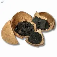 Premium Coconut Shell Charcoal for Export