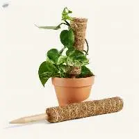 Natural Coir Grow Poles for Climbing Plants