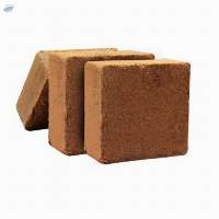 Premium Coco Peat Blocks for Horticulture