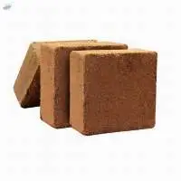 Premium Coco Peat Blocks for Horticulture