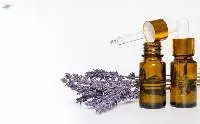 Premium Lavender Essential Oil Export Quality
